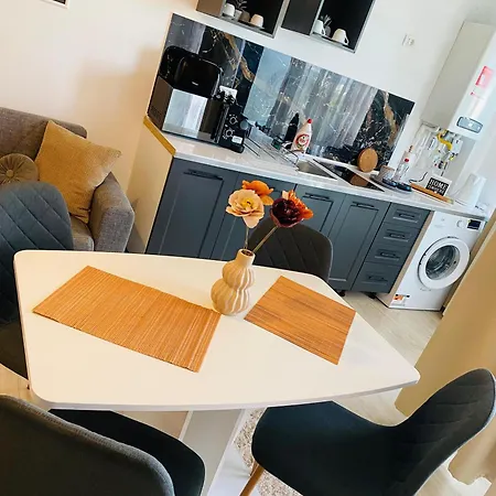Toulouse Διαμέρισμα *